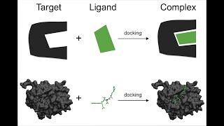 Drug Design Molecular docking Using UCSF Chimera autodock vina plugin