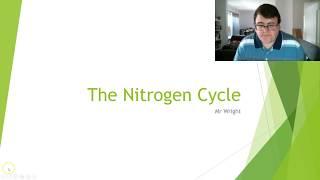 The Nitrogen Cycle