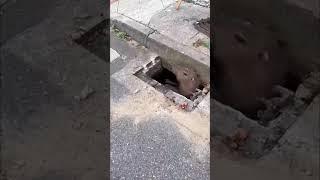 How did he drown inside this drain #shorts18 sec