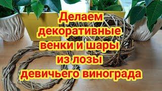 Делаем декоративные венки и шары из лозы девичьего винограда