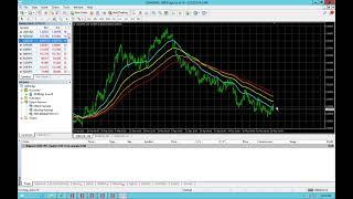 Strategy to Choose Best Pairs to Trade using Pips Predator Forex Robot (Expert Advisor)