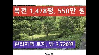 옥천 1,478평, 550만 원 (관리지역 토지, 당 3,720원)