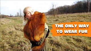 The Living Fur Coat Alf the Fox! This is the Only Way to Wear Fur!