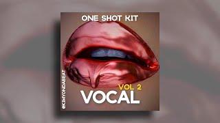 [FREE] VOCAL ONE SHOT KIT "Vol 2" - (Arcade, Exhale, Kontakt Style’s)