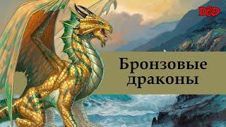 Кто такие бронзовые драконы? | D&D Lore