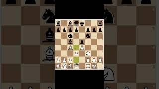 Traps with Italian Opening | Chess Tricks | Chess Traps |