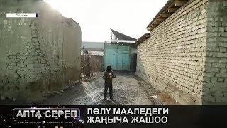 Лөлү мааледеги жаңыча жашоо