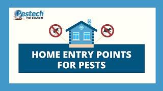 Home Entry Points for Pests | Pestech Pest Solutions