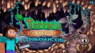 Утренний стрим | Продолжаем... | Terraria - Master Mode | Стрим 3