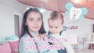 UMUT LİMAN'IN DİŞ BUĞDAYI PARTİSİ!! Diş Buğdayı Masa Süsleme // Diş Hediği Vlog #kutlama #vlog