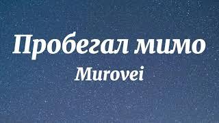 Murovei, Тима Белорусских - Пробегал мимо (Текст Песни)