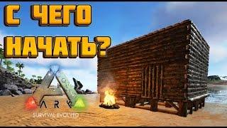 С ЧЕГО НАЧАТЬ? [ГАЙД]  Ark: Survival Evolved #1