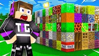 I Found EVERY SINGLE BLOCK IN MINECRAFT!