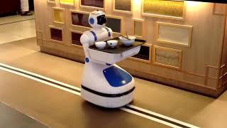 Robot Helper in the Restaurant