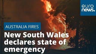 Australia wildfires: New South Wales declares state of emergency as blaze ravages region