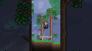 Every Terraria Secret Seed! #terraria #shorts #gaming #gamingshorts