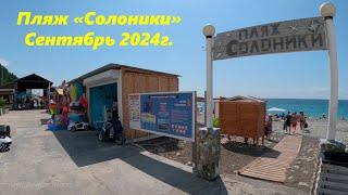 Солоники в Сентябре.2024ЛАЗАРЕВСКОЕ СЕГОДНЯСОЧИ.