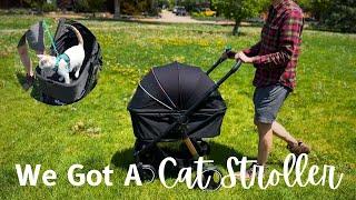 We Got A Cat Stroller! - Ibiyaya Retro Luxe Pet Stroller Unboxing & Review