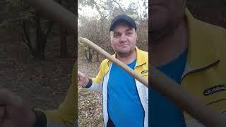 Виталька онлайн рыбак онлайн #горная #река #кубань #дерево #жизнь #мир