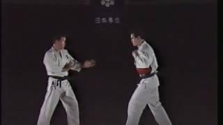 Nippon Kempo Basics part 1