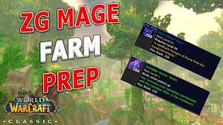 WoW Classic - All You Need to Know for the ZG Mage Gold Farm in 15 Minutes!