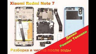 Xiaomi Redmi Note 7 РАЗБОРКА | ЧИСТКА ОТ ВОДЫ | Разбираем телефон | m1901f7g | телефон упал в воду