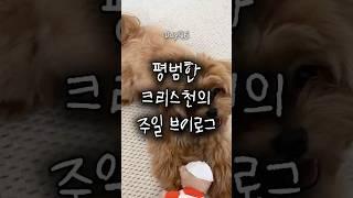 Day46. 주일 브이로그 | 여유 있던 아침과 그렇지 못한 저녁