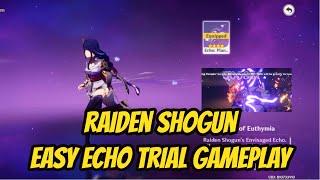 Raiden Shogun Envisaged Echo: Plane of Euthymia, Easy Rotation to Fill Your Energies for the Trial