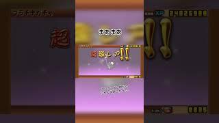 プラチケ大爆死わら笑#にゃんこ大戦争 #プラチナチケット #にゃんこ大戦争ガチャ