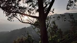 Munnar (Kerala) morning view 