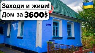  Заходи и живи! Дом в селе за 3600$ Продажа недвижимости за копейки! Всё есть Уютное тихое село!