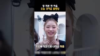 [키키]왕 리본 한 하음...오늘 귀여움 몰빵함!
