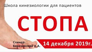 #4 Школа кинезиологии 14 декабря 2019г. Стопа.