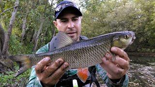 Fish that Not Everyone Can Catch. Spinning Fishing in September.