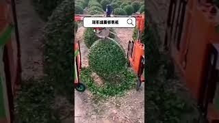 trimming round ball machine/round plant trimming machine /automatic trimming machine