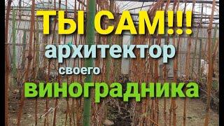 На каком расстоянии садить виноград и формирование кустов  Не зажимайте себя в рамки и не бойтесь!!!