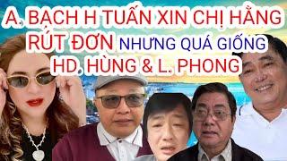 Anh Bạch Hoàng Tuấn Xin Chị Hằng Rút Đơn Nhưng Quá Thiếu Thiện Chí - Lập Luận Vô Lý