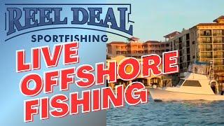 Reel Deal Sportfishing Clearwater Beach Florida