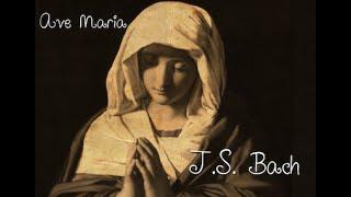 J.S. Bach Ave Maria