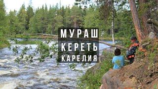 Мураш, Кереть, Карелия.