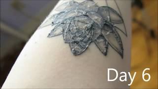 Tattoo Healing Process | day by day