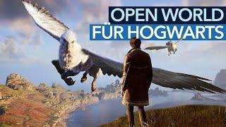 Besenflug, Todesfluch & Tierzucht - Was gibt's in der Open World von Hogwarts Legacy?