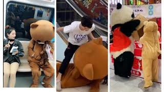 funny bear and panda / fighting /comedy tiktok compilations (funny video collection)