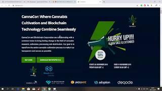 Cannacor - обзор проекта!