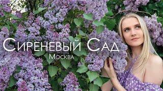 Сиреневый сад в Москве. Обзор самого большого парка сирени.