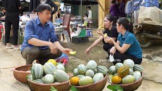 The process of growing rice and melons from start to harvest. Robert | Green forest life