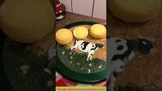 #shorts Французский сыр такой вы не пробовали