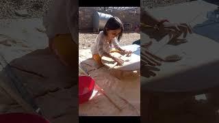 @Plerd Video