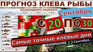 Прогноз клева рыбы на неделю с 20 по 30 Сентября Календарь клева рыбы Лунный календарь рыбака