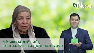 МЎЪЖИЗАВИЙ ГИЁҲ КОКСАРТРОЗНИ ДАВОЛАШ УЧУН